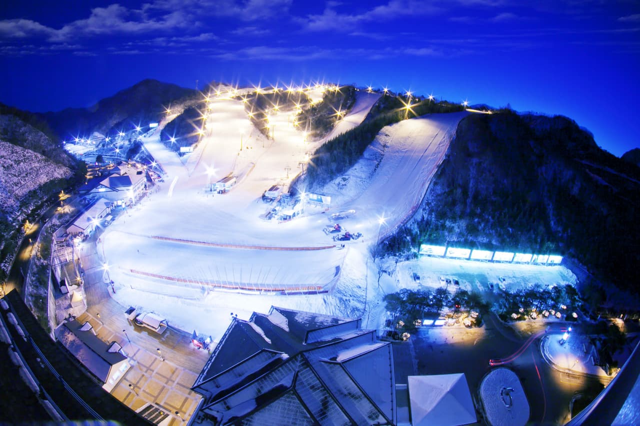 Elysian Gangchon Ski Resort and Nami Island Full-Day Tour from Seoul - სურათი 8