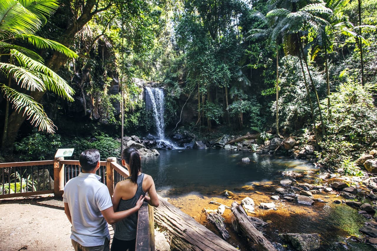 Tamborine Mountain Guided Walk and Wine Tasting Tour - სურათი 6