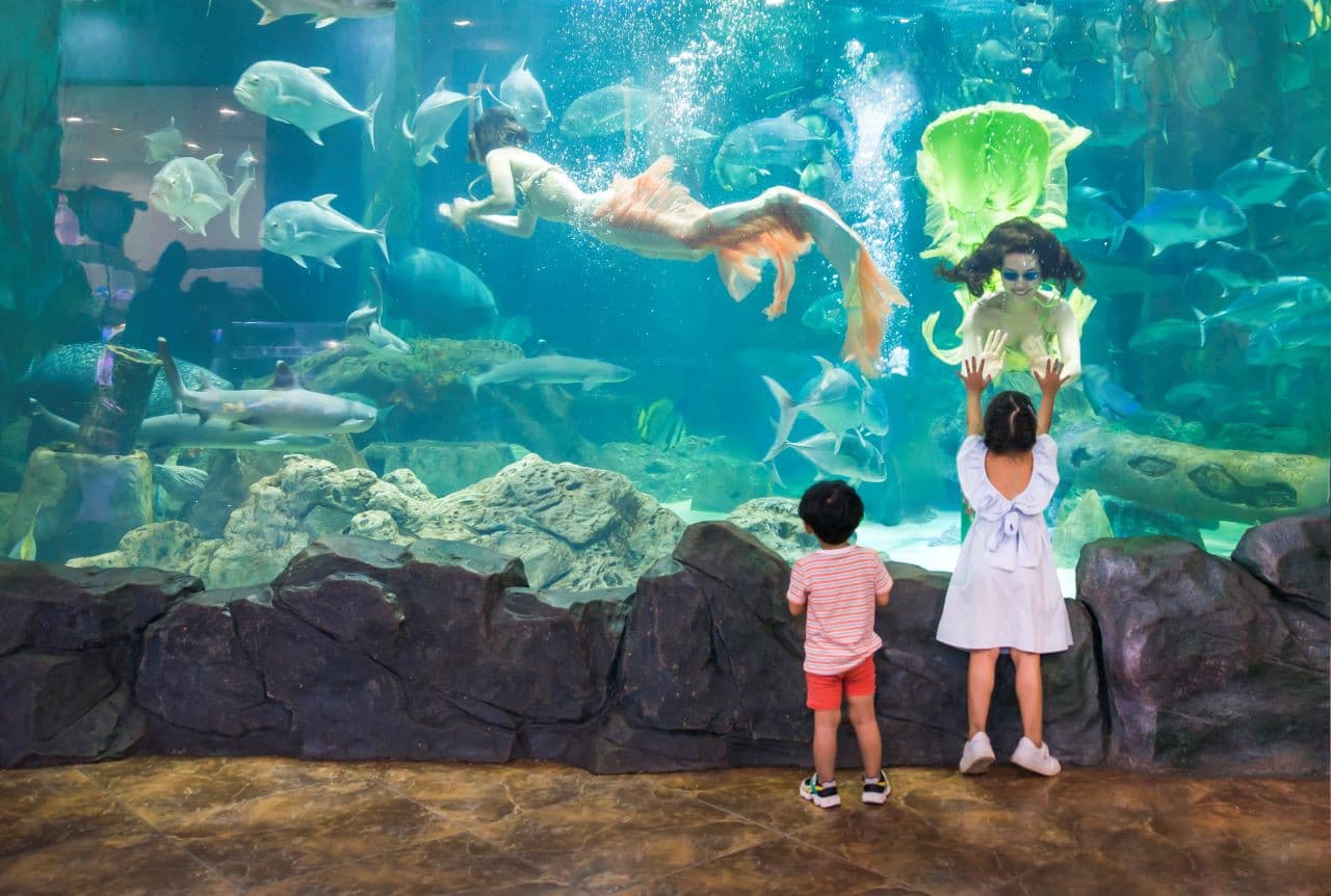 Vinpearl Aquarium Times City Hanoi Ticket - მთავარი სურათი