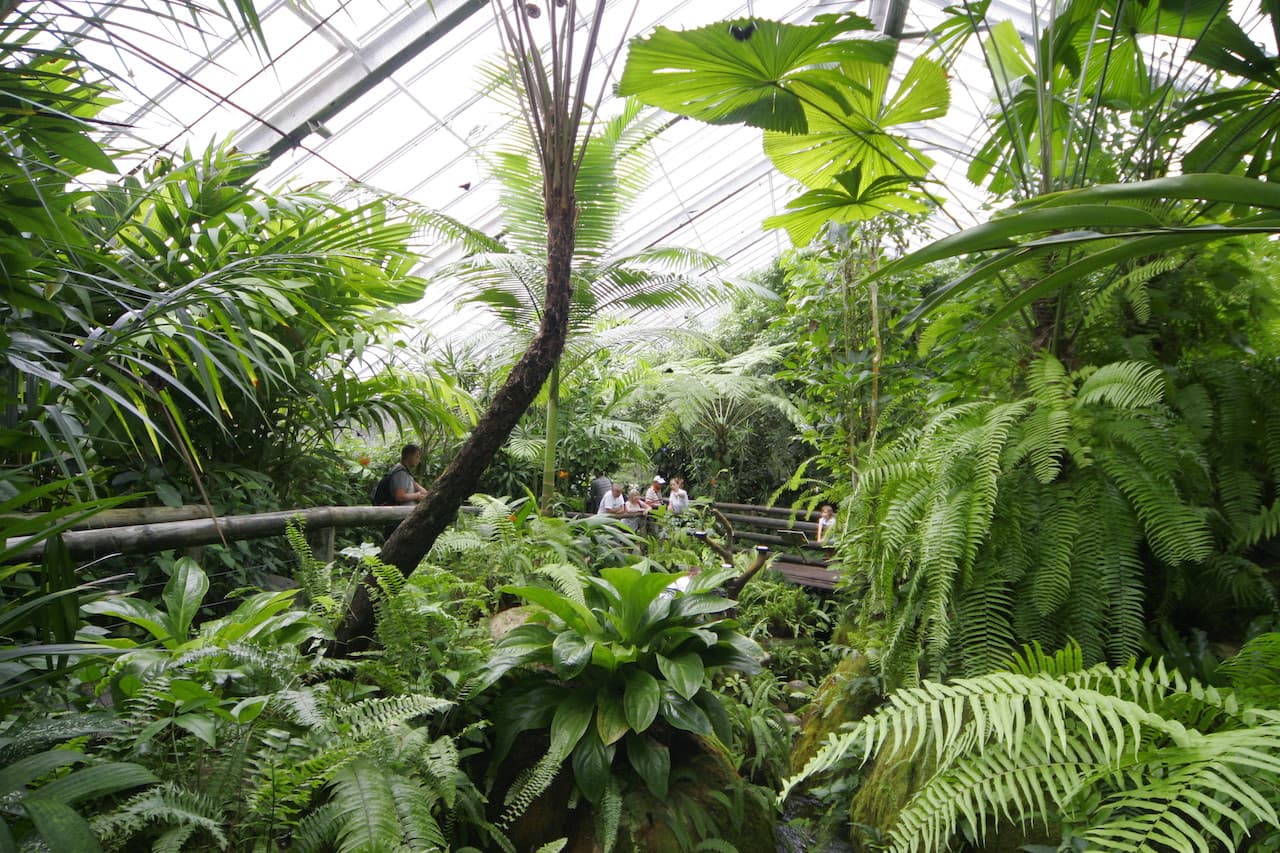 Australian Butterfly Sanctuary - სურათი 7