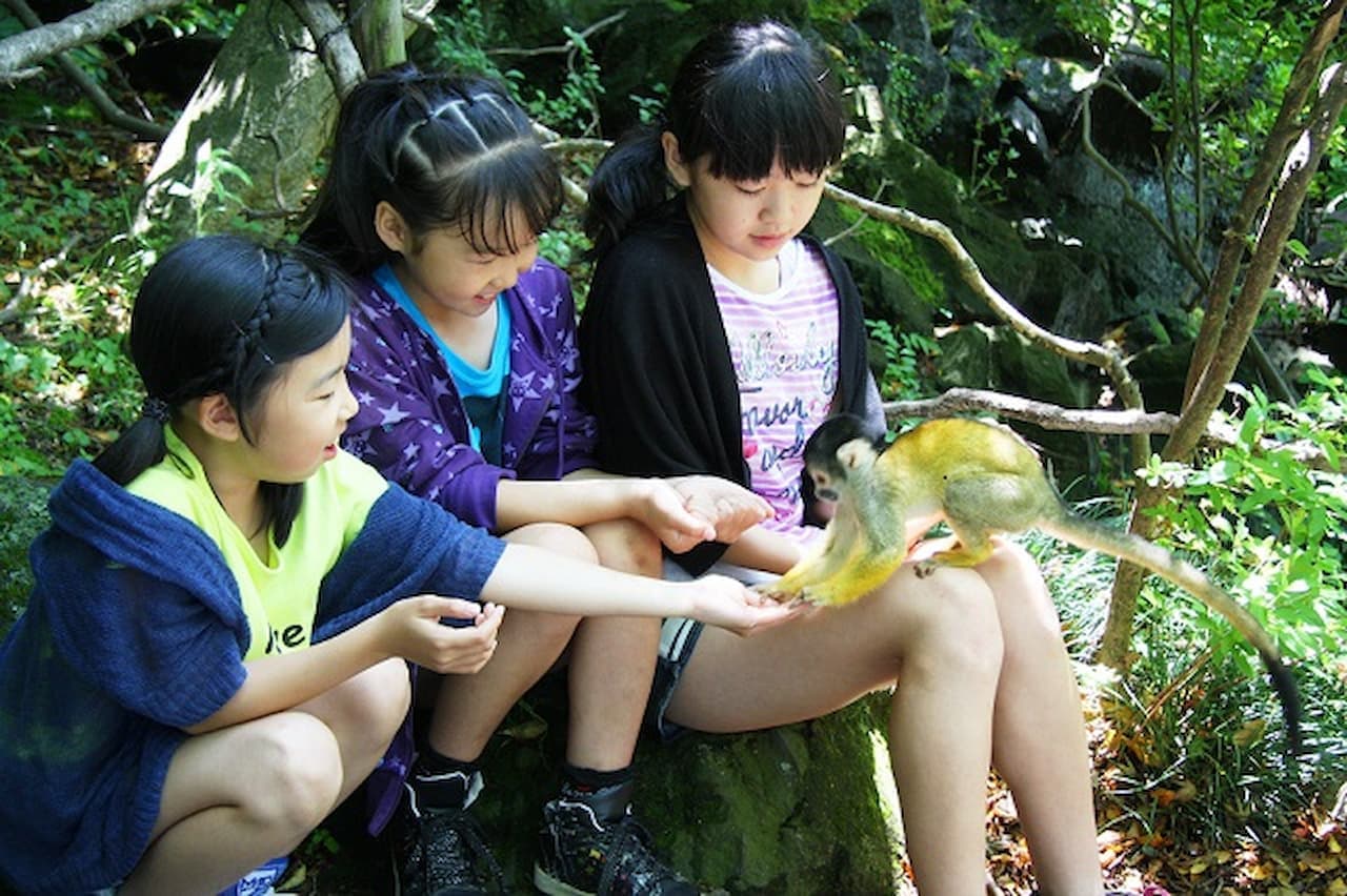 Izu Shaboten Zoo Ticket - სურათი 4
