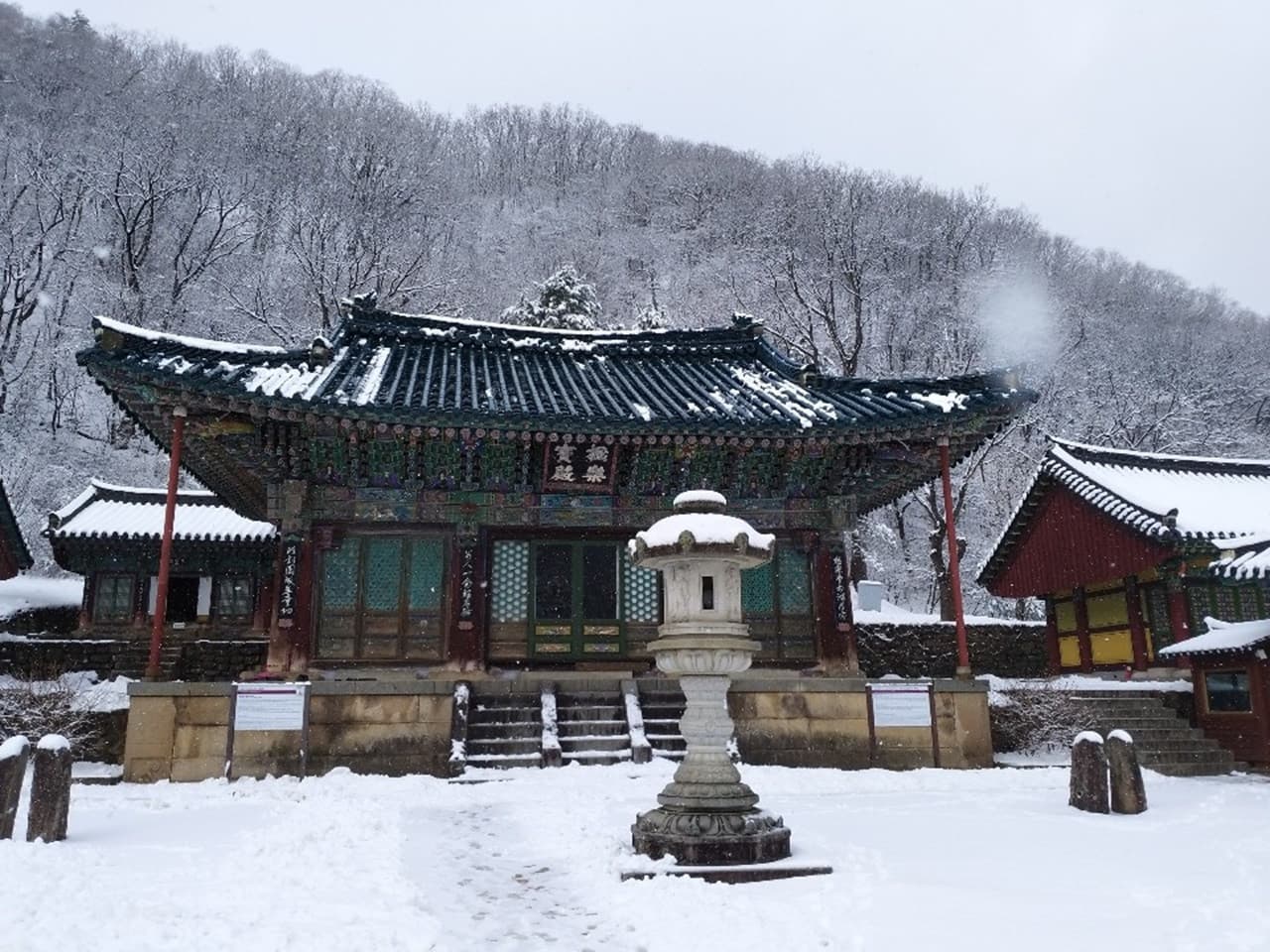 Nami Island, Mount Seorak, and Garden of Morning Calm Full-Day Tour from Seoul - სურათი 20