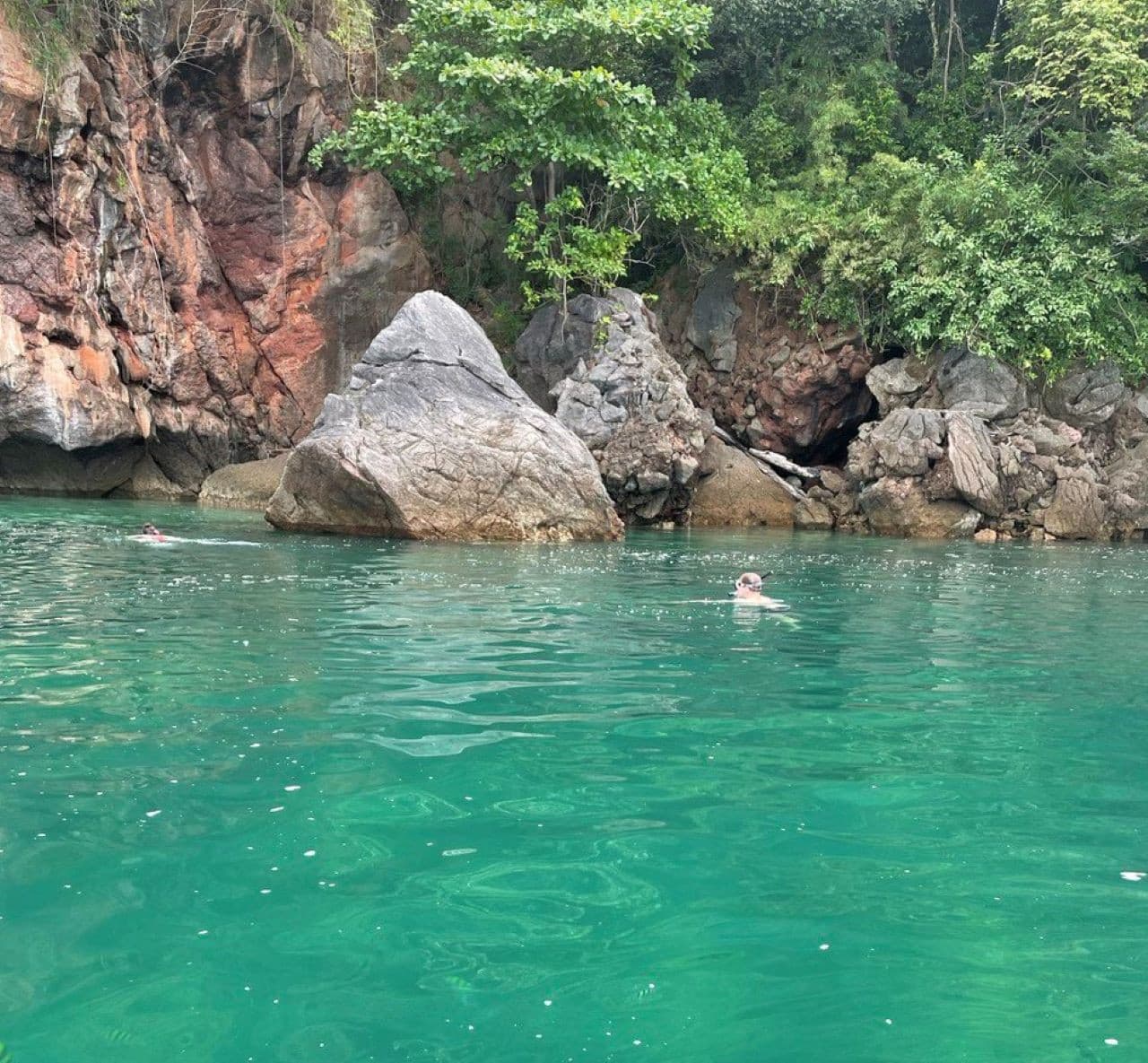 Langkawi Mangrove River Cruise and Snorkeling - სურათი 6