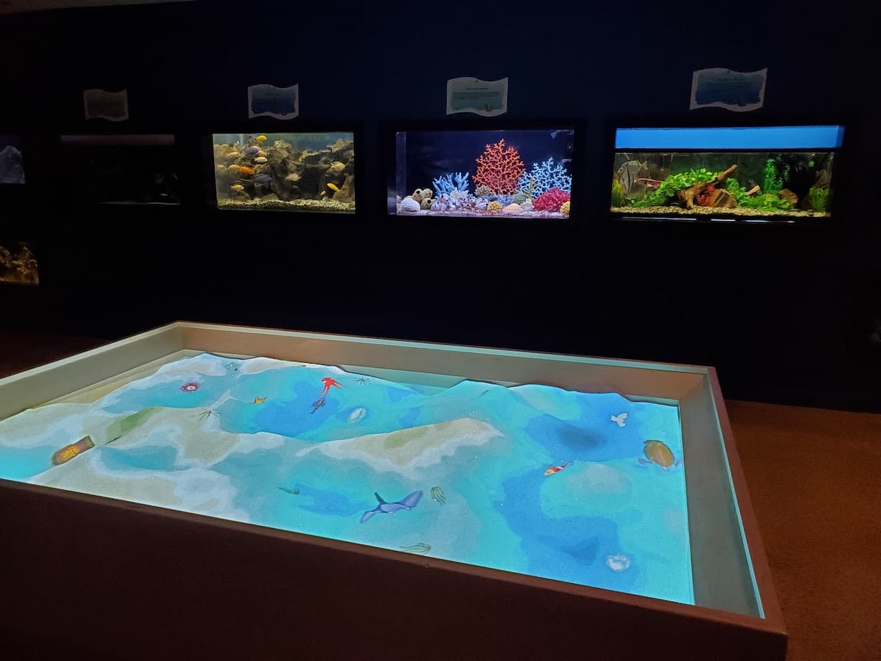 Las Vegas Natural History Museum - სურათი 3