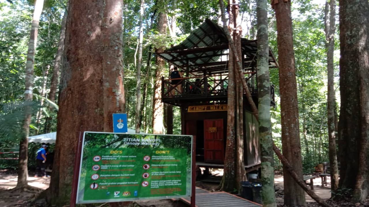 Taman Negara National Park Tour from Kuala Lumpur - სურათი 2