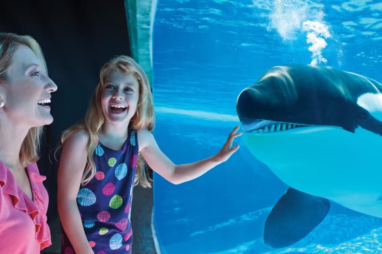 SeaWorld San Diego Ticket: Direct Entry - სურათი 11