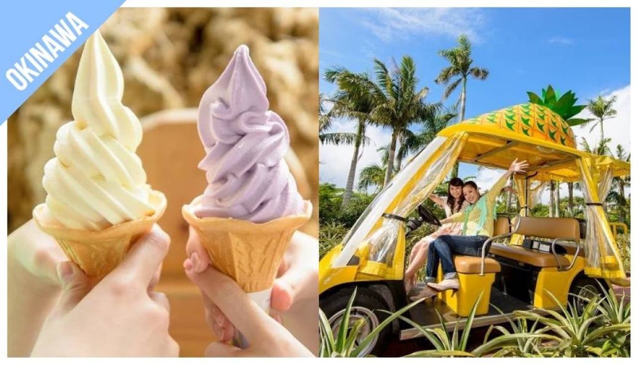 Have Fun in Okinawa Pass - 1 Week Free Pass - სურათი 3