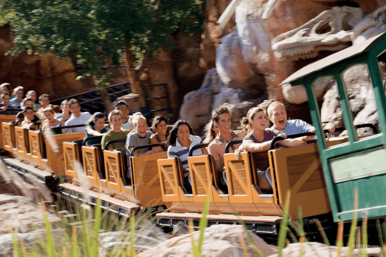 Disneyland Park and Disney California Adventure Park Ticket - სურათი 13