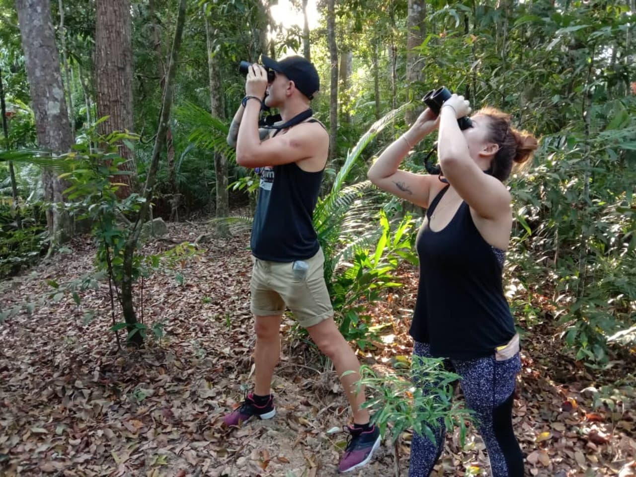 Langkawi Birdwatching Experience Tour - Half Day - სურათი 4