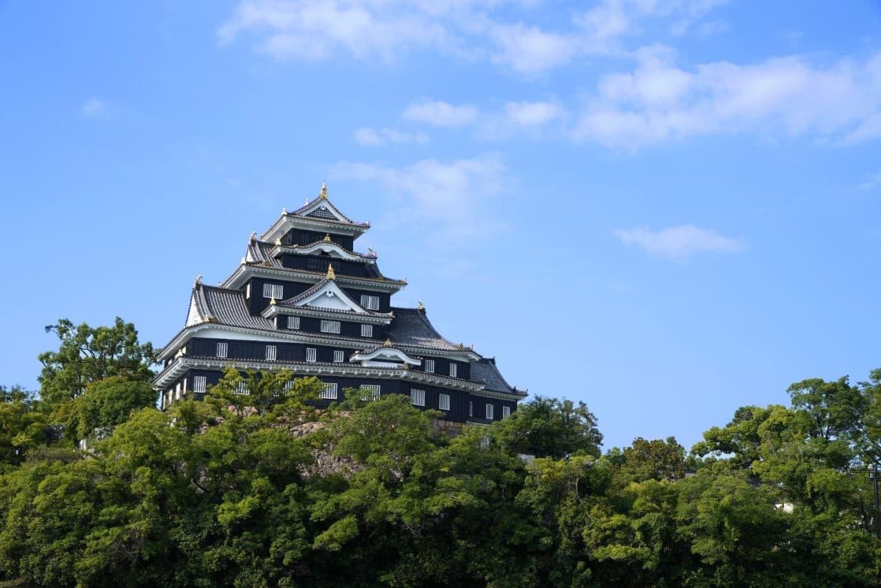 Okayama Castle Ticket - მთავარი სურათი