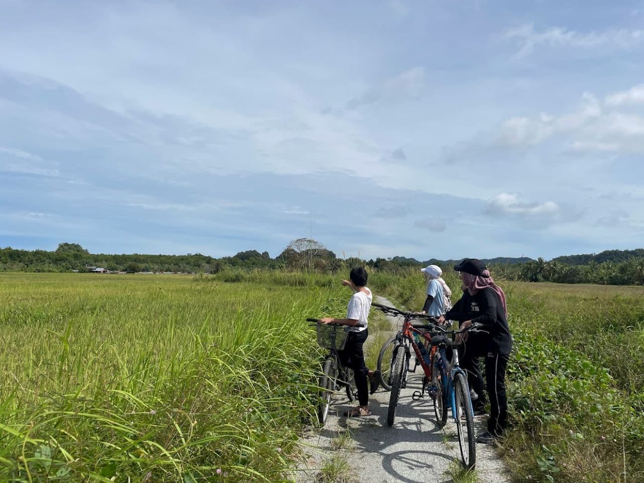 Langkawi Countryside Biking Tour - სურათი 3