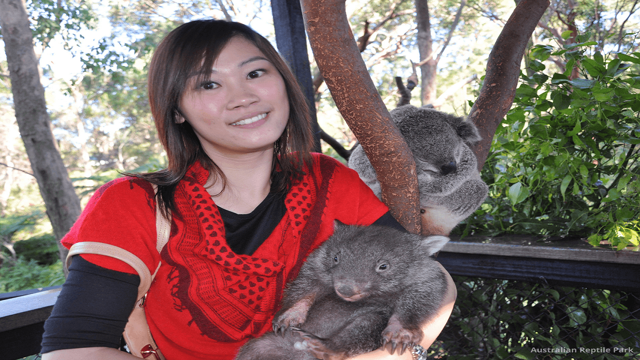 Australian Reptile Park - სურათი 49