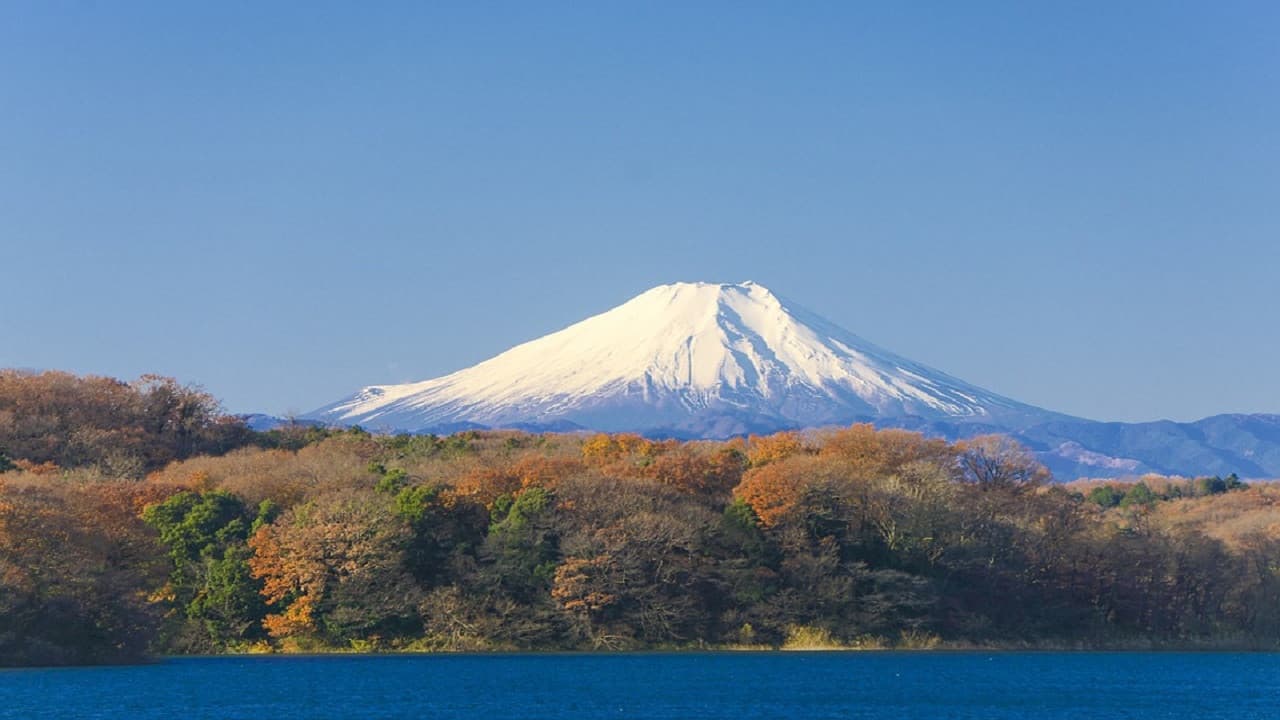 Mount Fuji and Hakone Tour - სურათი 2