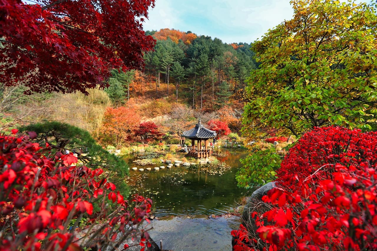 Nami Island, Mount Seorak, and Garden of Morning Calm Full-Day Tour from Seoul - მთავარი სურათი