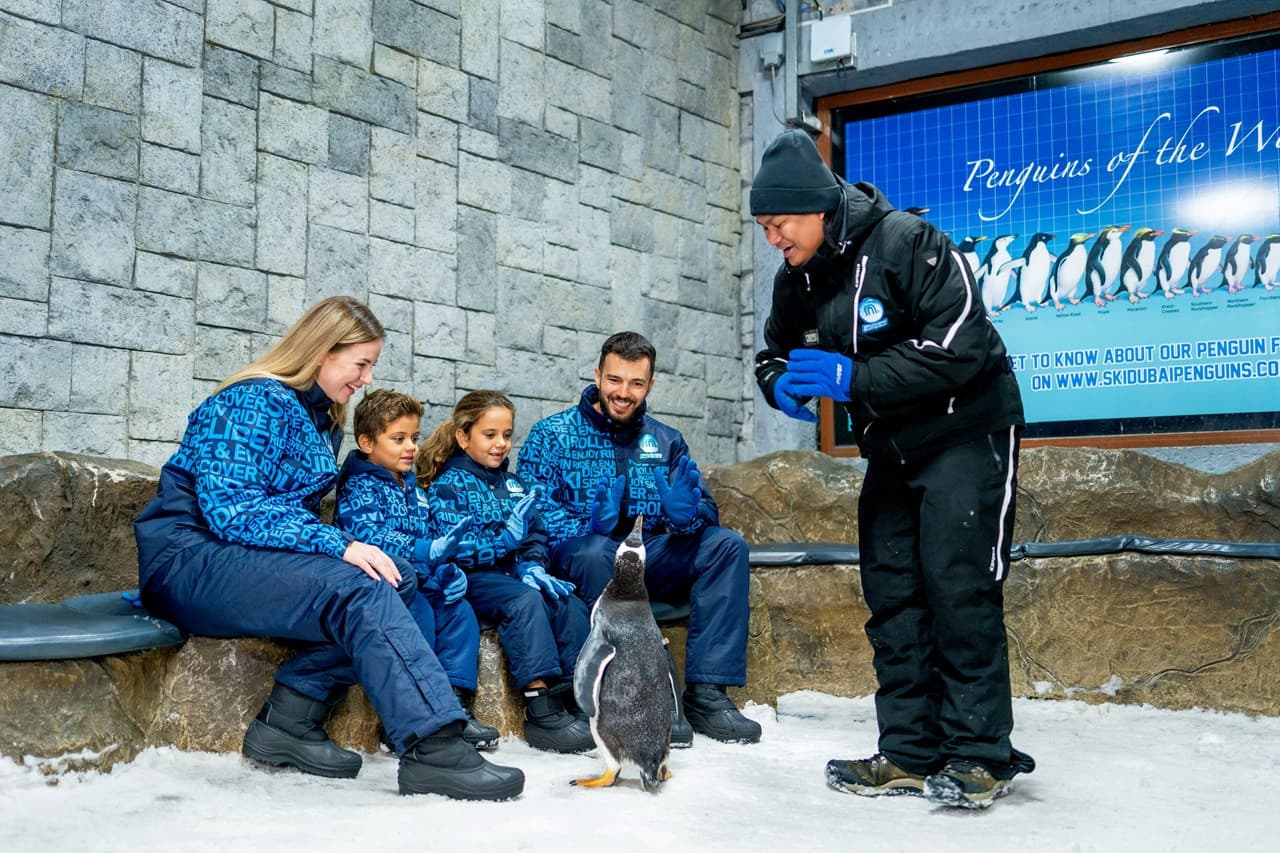 Ski Dubai Ticket - სურათი 21