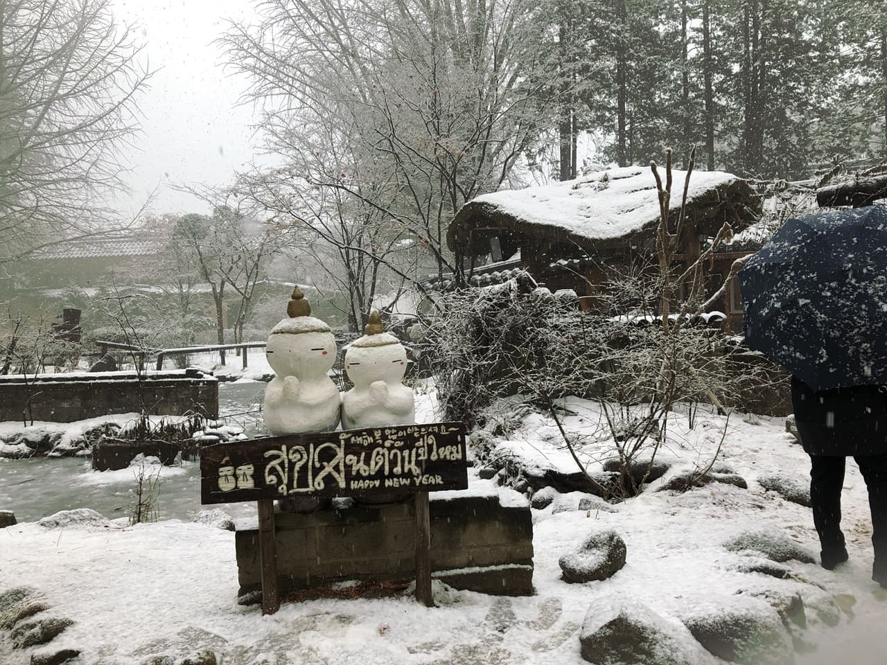 Nami Island and Mount Seorak Full-Day Tour from Seoul - სურათი 10