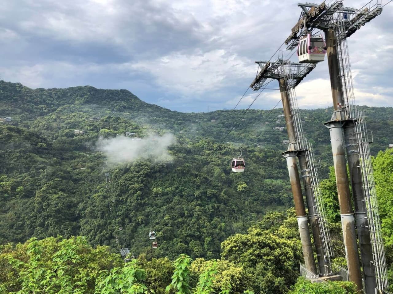 Pinglin Tea Culture and Maokong Full-Day Tour from Taipei - სურათი 3