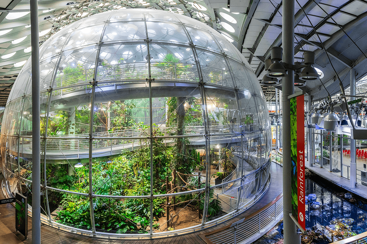 California Academy of Sciences Ticket - სურათი 4