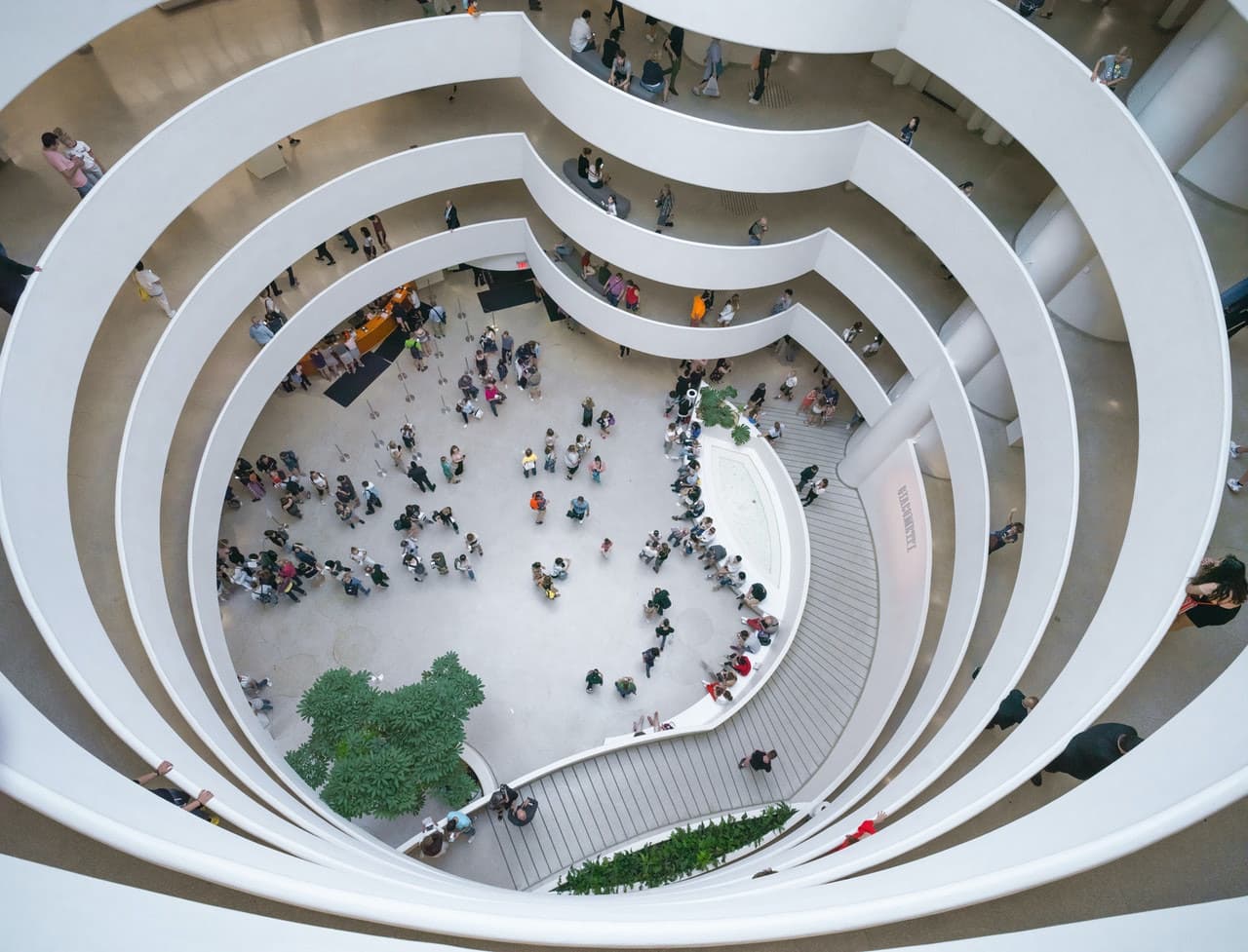 The Guggenheim - მთავარი სურათი