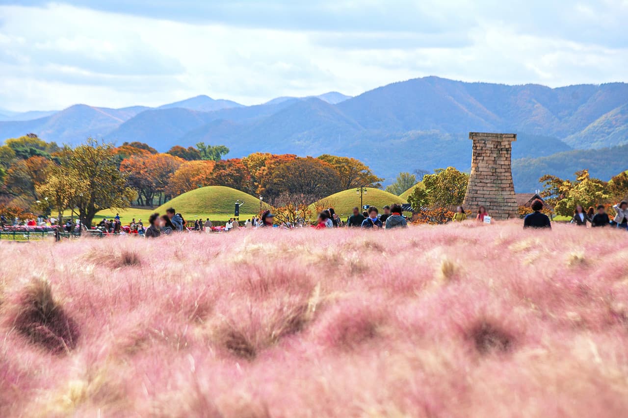 Gyeongju Autumn Foliage One Day Tour from Busan - სურათი 8