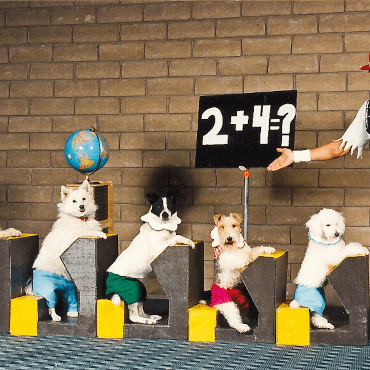 V Theatre Las Vegas - Popovich Comedy Pet Theatre - სურათი 5