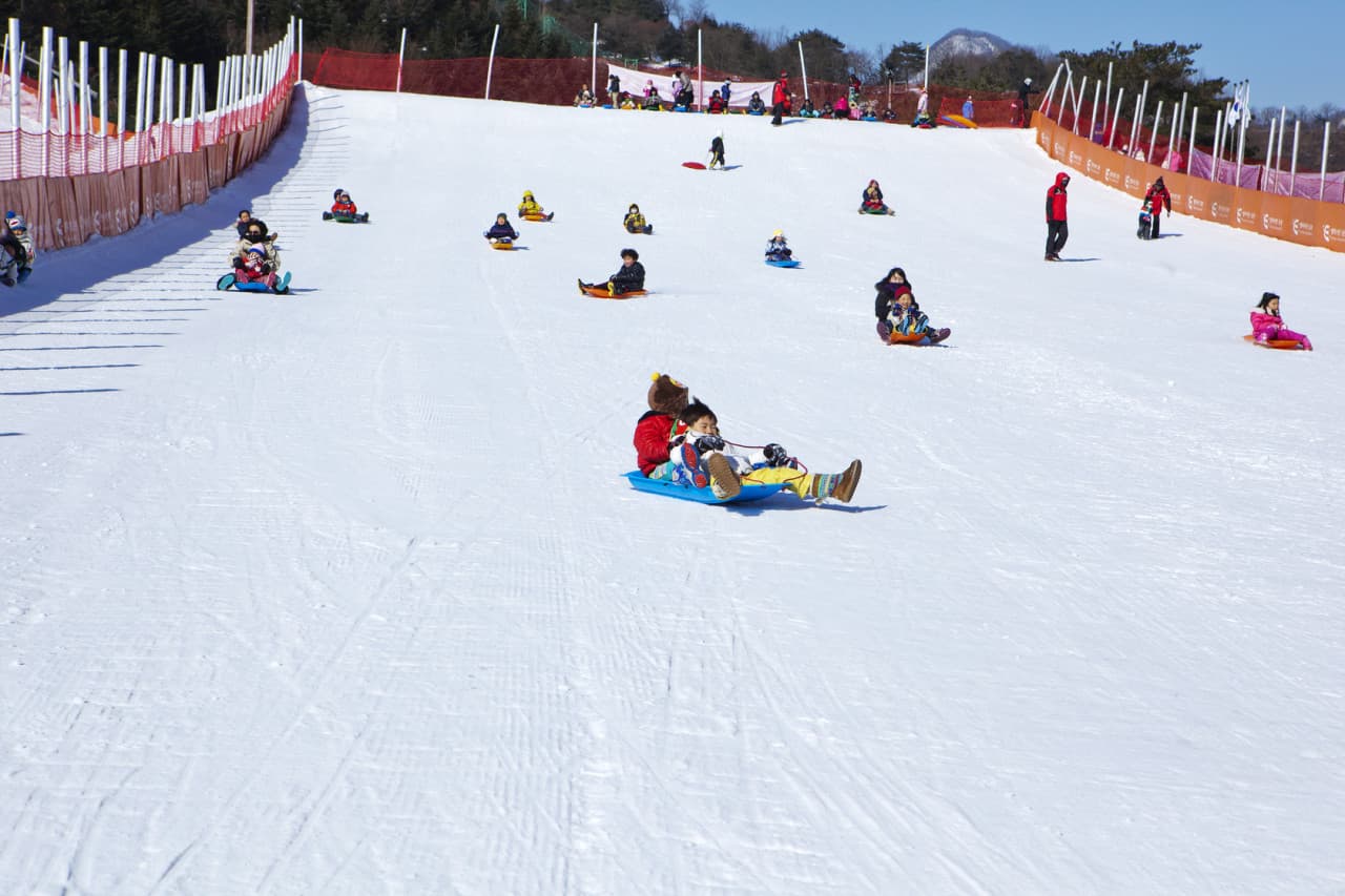 Elysian Gangchon Ski Resort and Nami Island Full-Day Tour from Seoul - სურათი 3