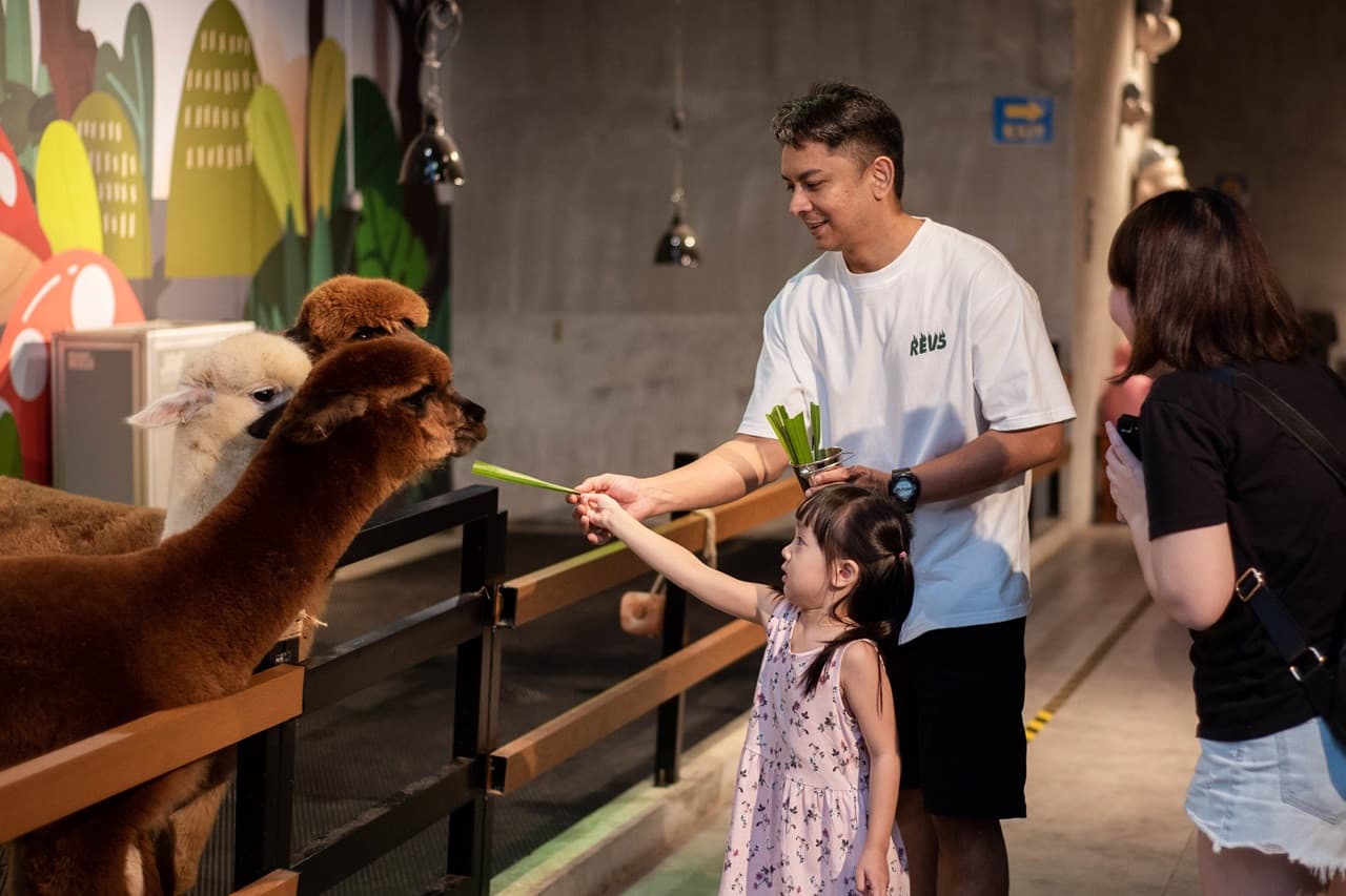 Just Farm Indoor Zoo Kuala Lumpur  (Previously Known As Just Pets Megastore) - სურათი 4