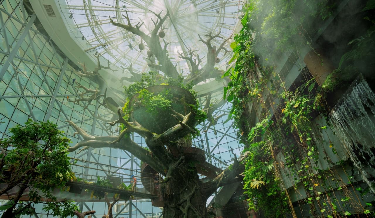 The Green Planet Dubai Ticket - სურათი 11