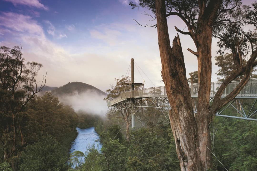 Huon Valley Tour - სურათი 5