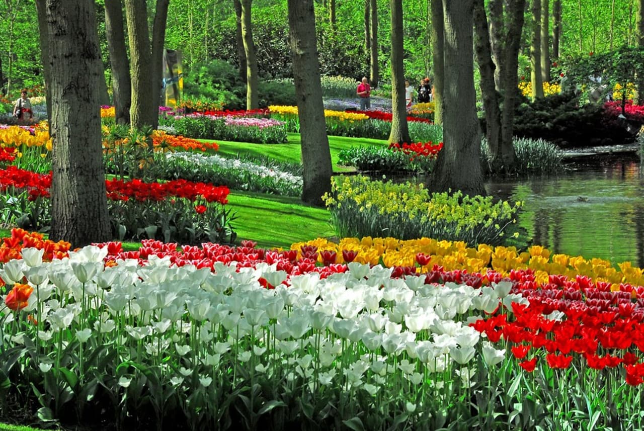 Keukenhof Gardens Ticket with Round Trip Bus Transfer from Amsterdam - მთავარი სურათი