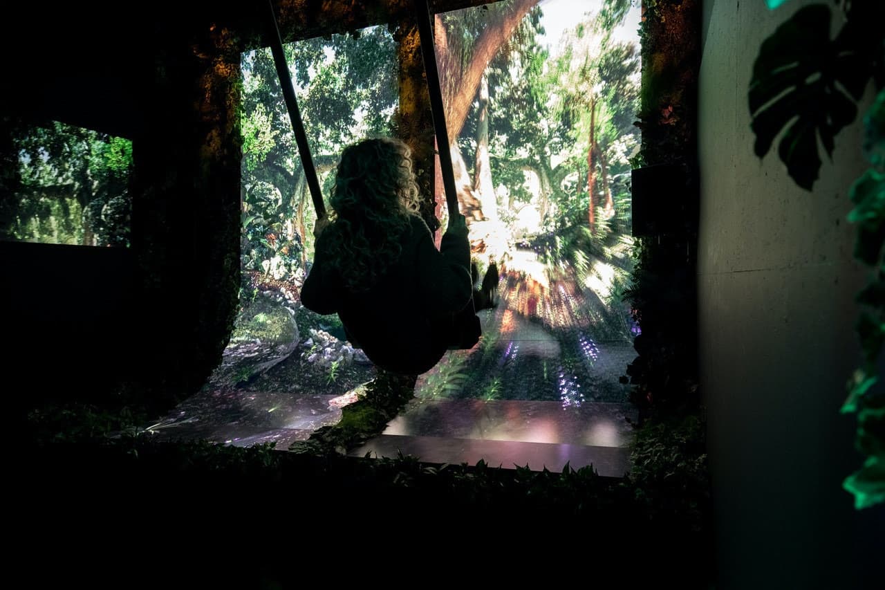 AMAZE: The Immersive Experience - სურათი 8