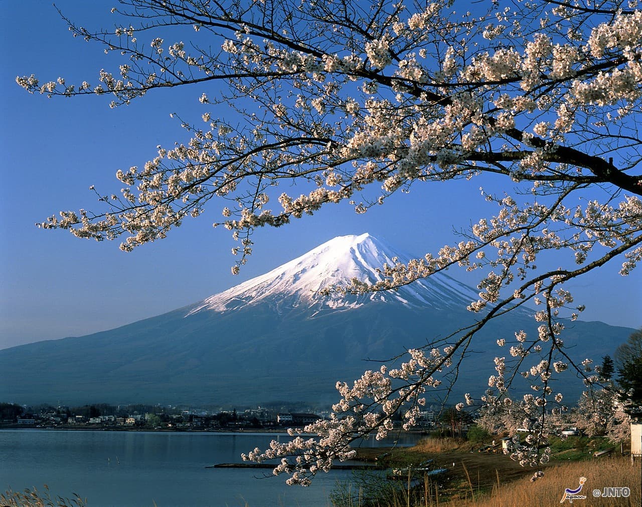 Mount Fuji and Oshino Hakkai Ole Hot Spring Full-Day Tour from Tokyo - სურათი 2