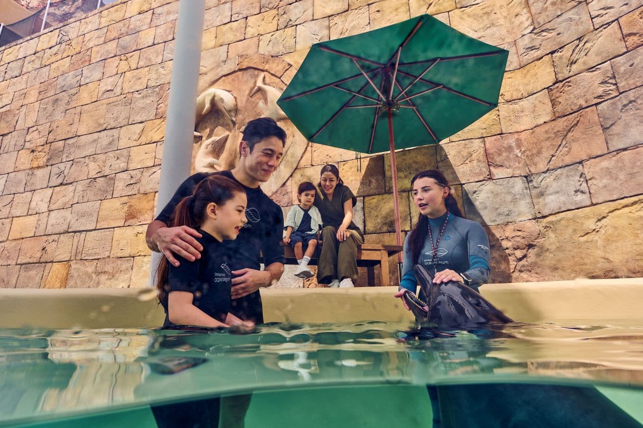 Singapore Oceanarium Ticket - სურათი 15