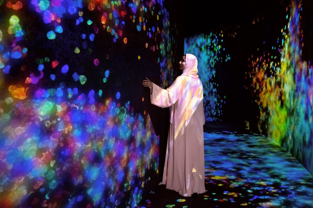 COMBO: Louvre Abu Dhabi + teamLab Phenomena + Big Bus Abu Dhabi Hop-on Hop-off Bus Tour - სურათი 6