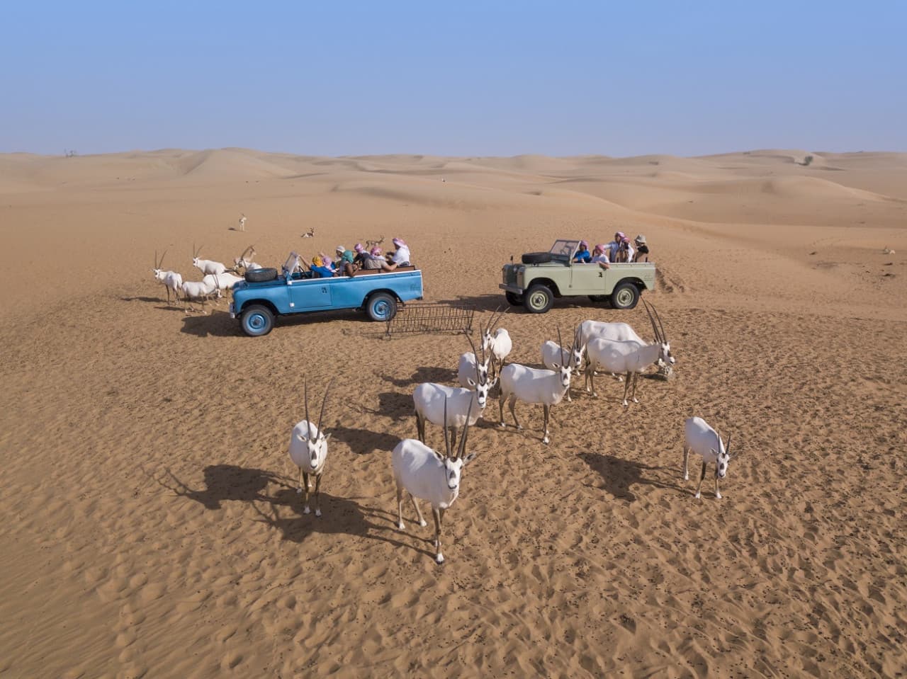 Heritage Dubai Desert Safari - მთავარი სურათი