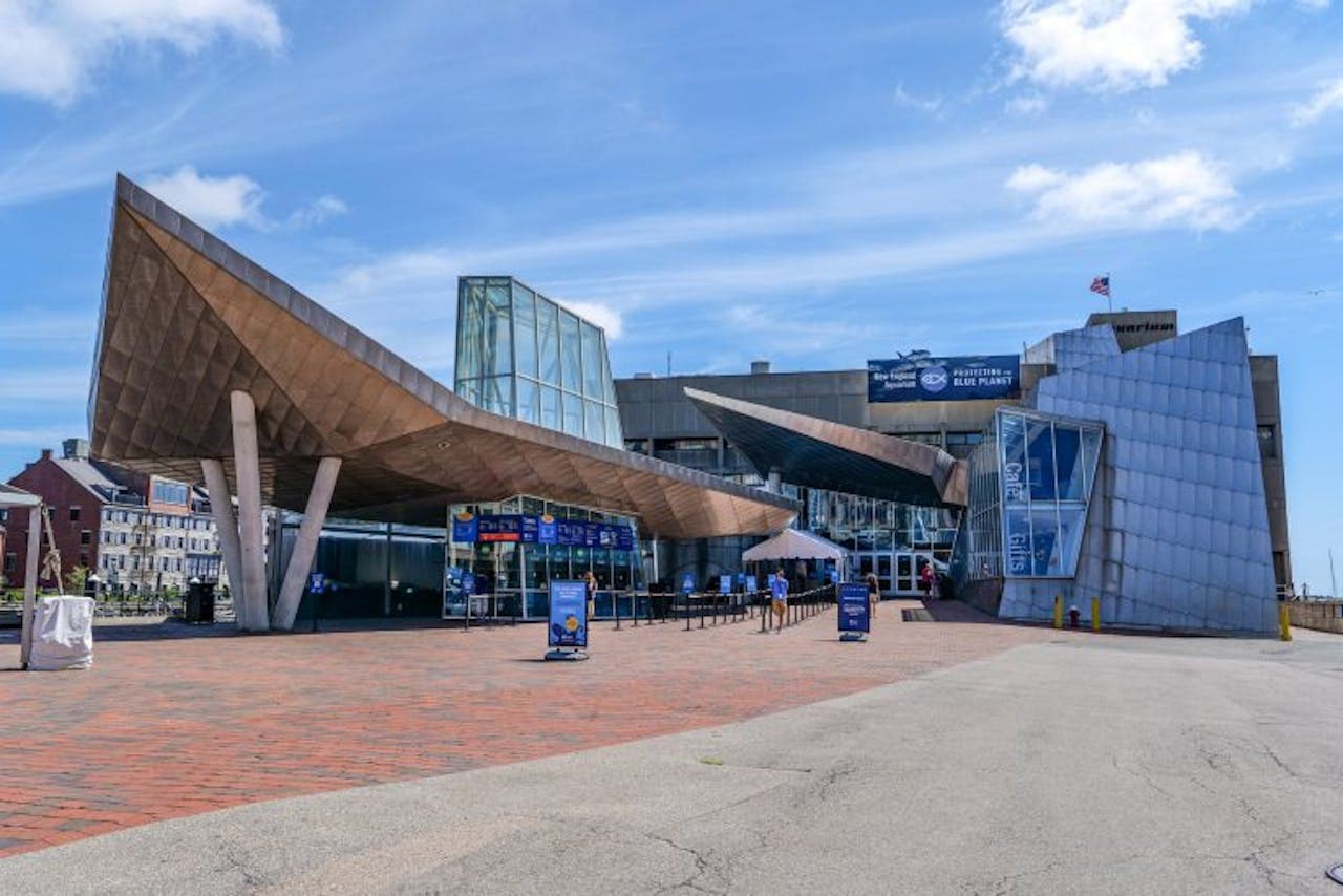 New England Aquarium Ticket - მთავარი სურათი