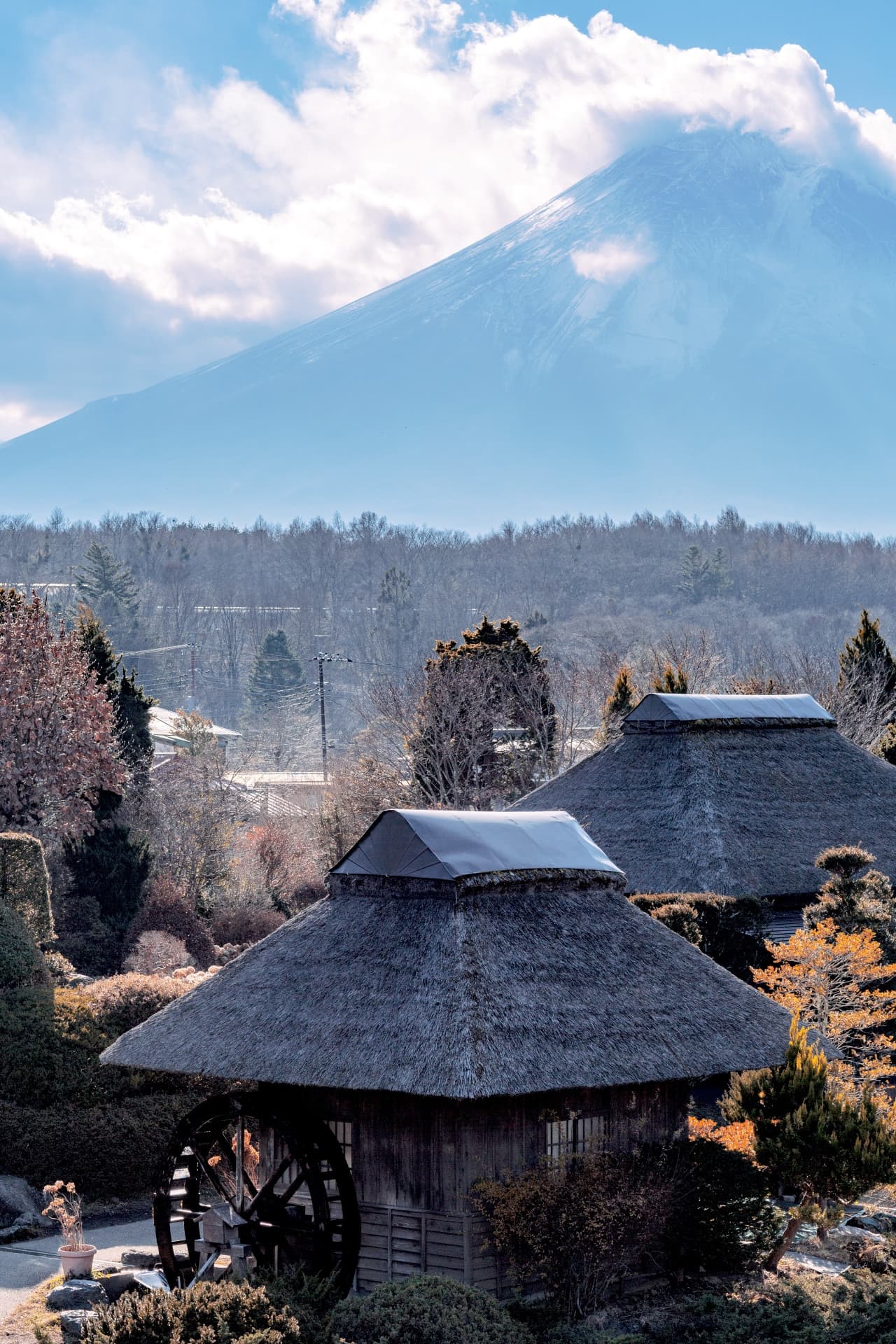 Mount Fuji G Line Full-Day Tour from Tokyo: Arakurayama Sengen Park, Lake Kawaguchi - სურათი 4