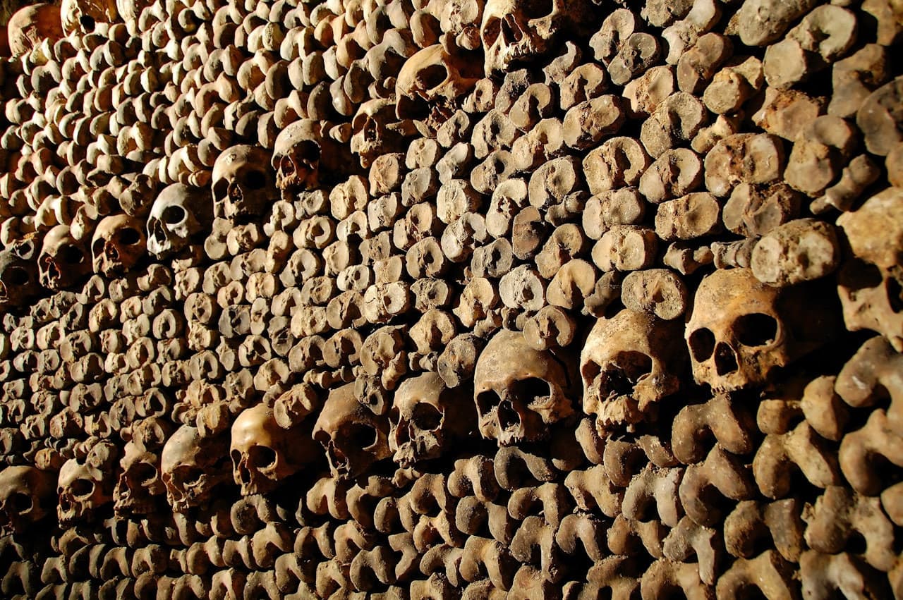 The Paris Catacombs - Skip-the-line with Audio Guide - სურათი 4