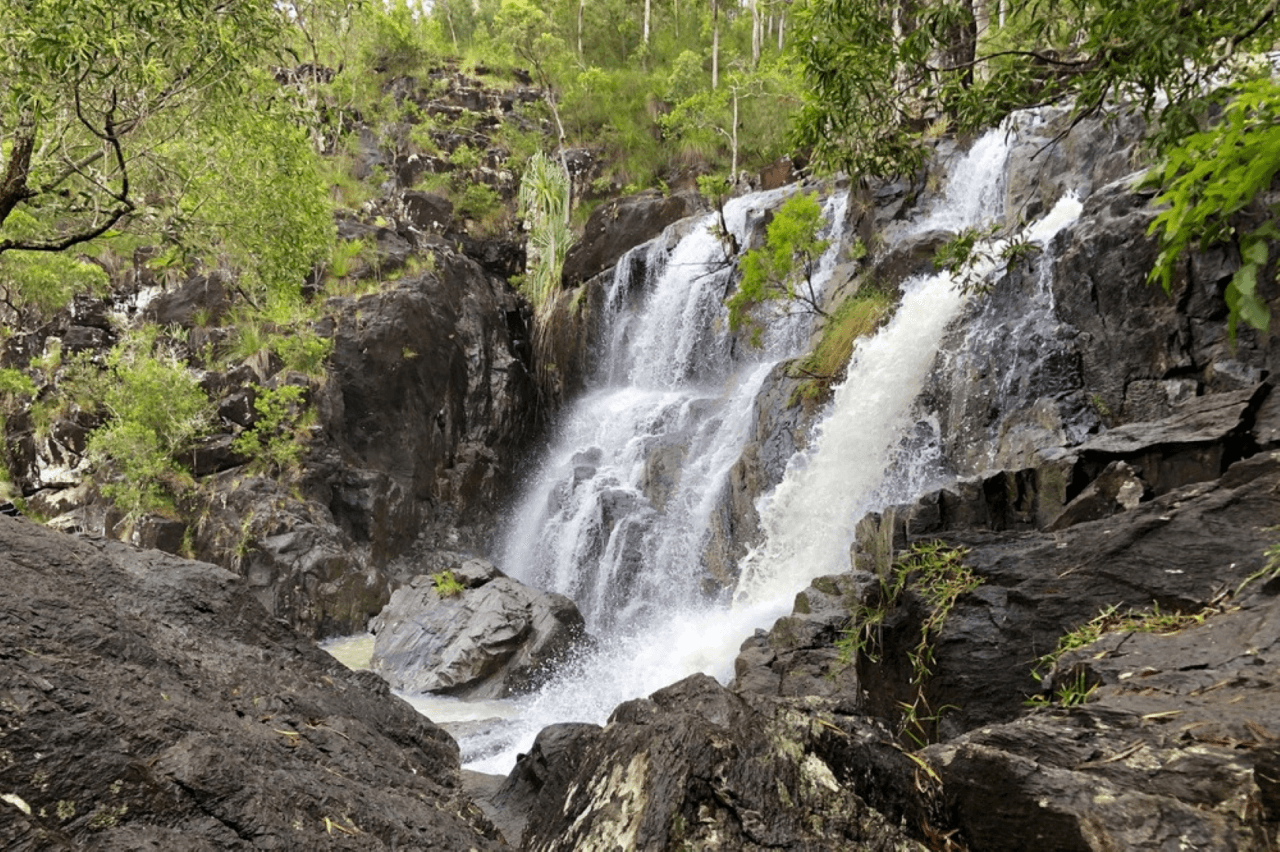 Cedar Creek Falls Tour - სურათი 4