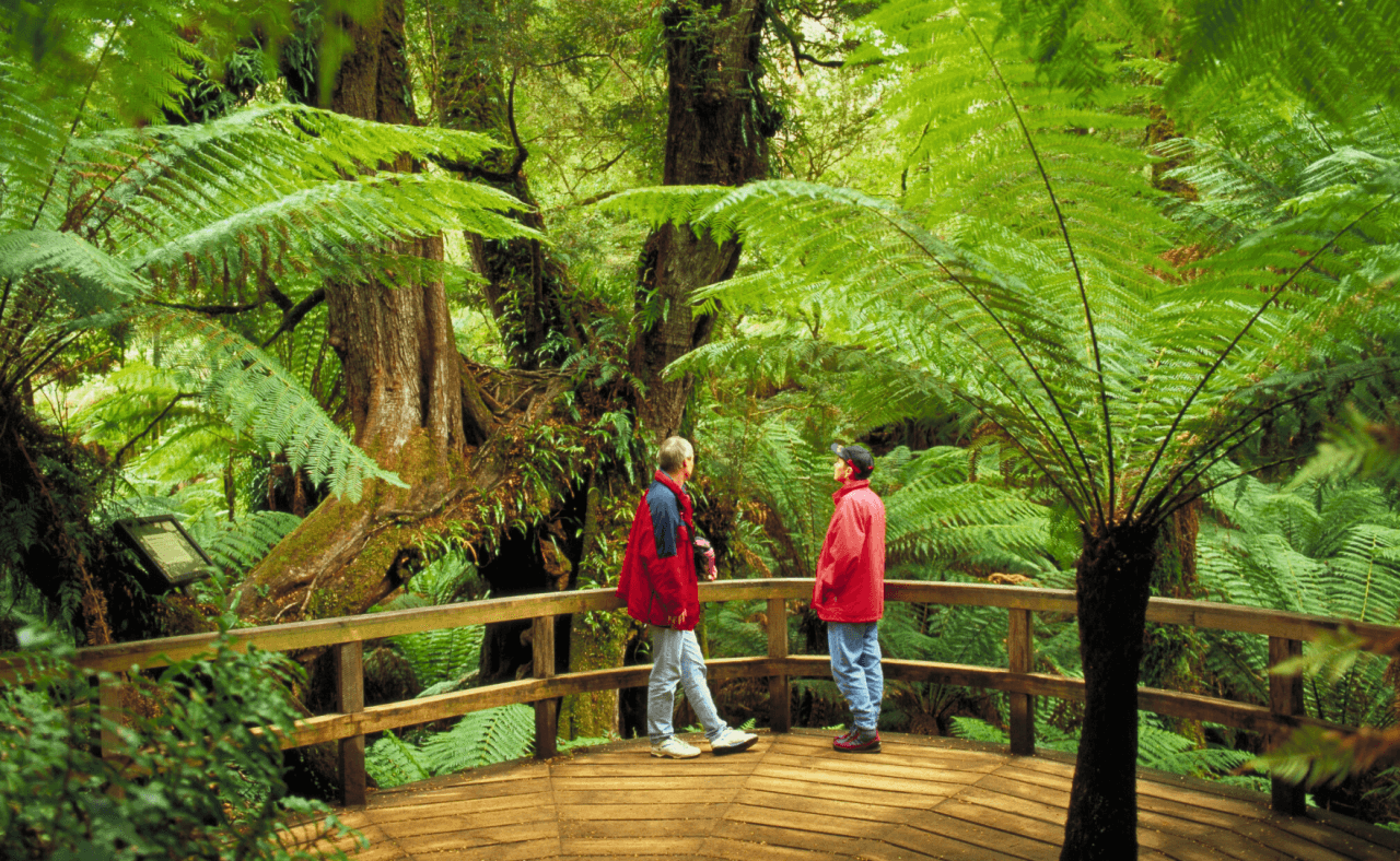 Great Ocean Road Tour from Melbourne - სურათი 27