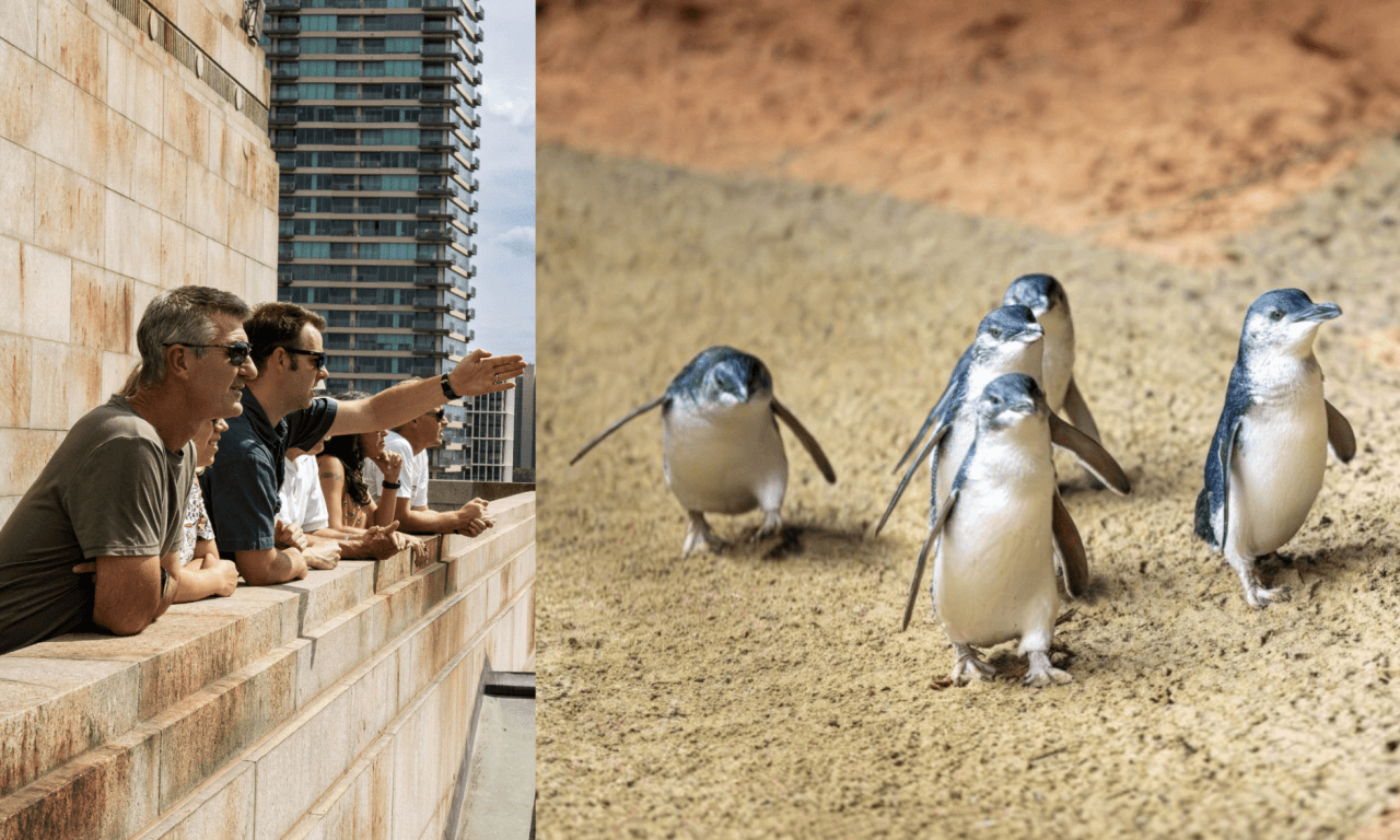 Melbourne City Discovery Tour with Penguin Parade - სურათი 16