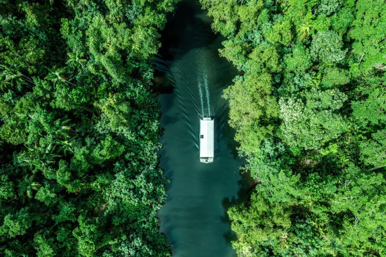 Daintree, Mossman Gorge, and Wildlife Habitat Port Douglas Full-Day Tour - სურათი 2