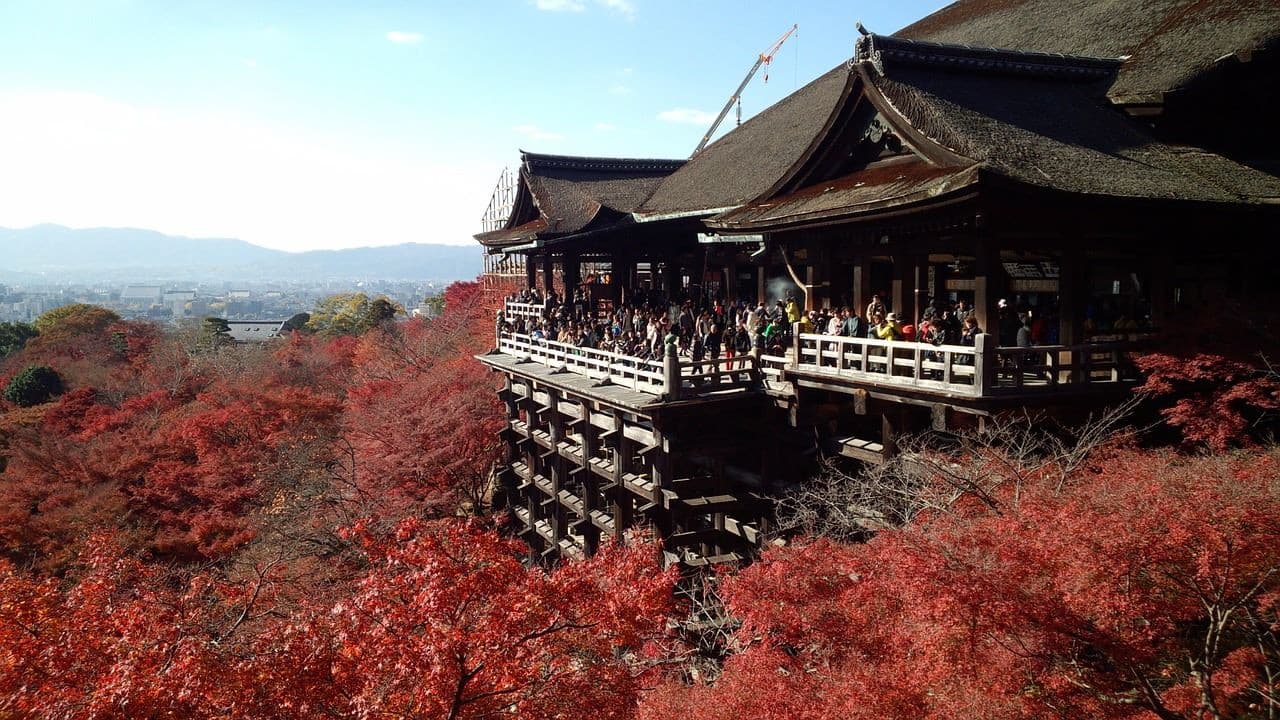 Kyoto Full-Day Tour: Nijo Castle, Kinkaku-ji,  Fushimi Inari Taisha, Kiyomizu-dera Temple - სურათი 6
