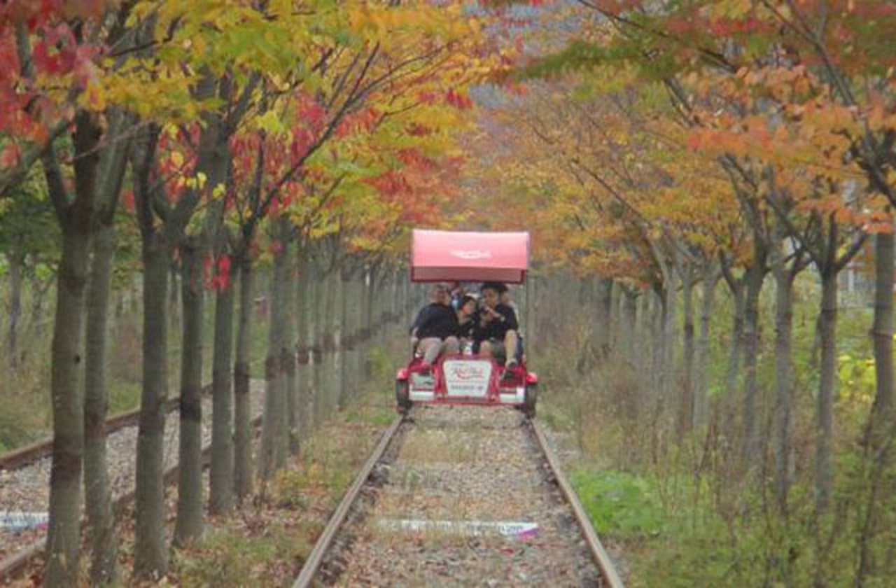 Nami Island, Petite France, Garden of Morning Calm, and Gangchon Rail Bike Tour from Seoul - სურათი 8