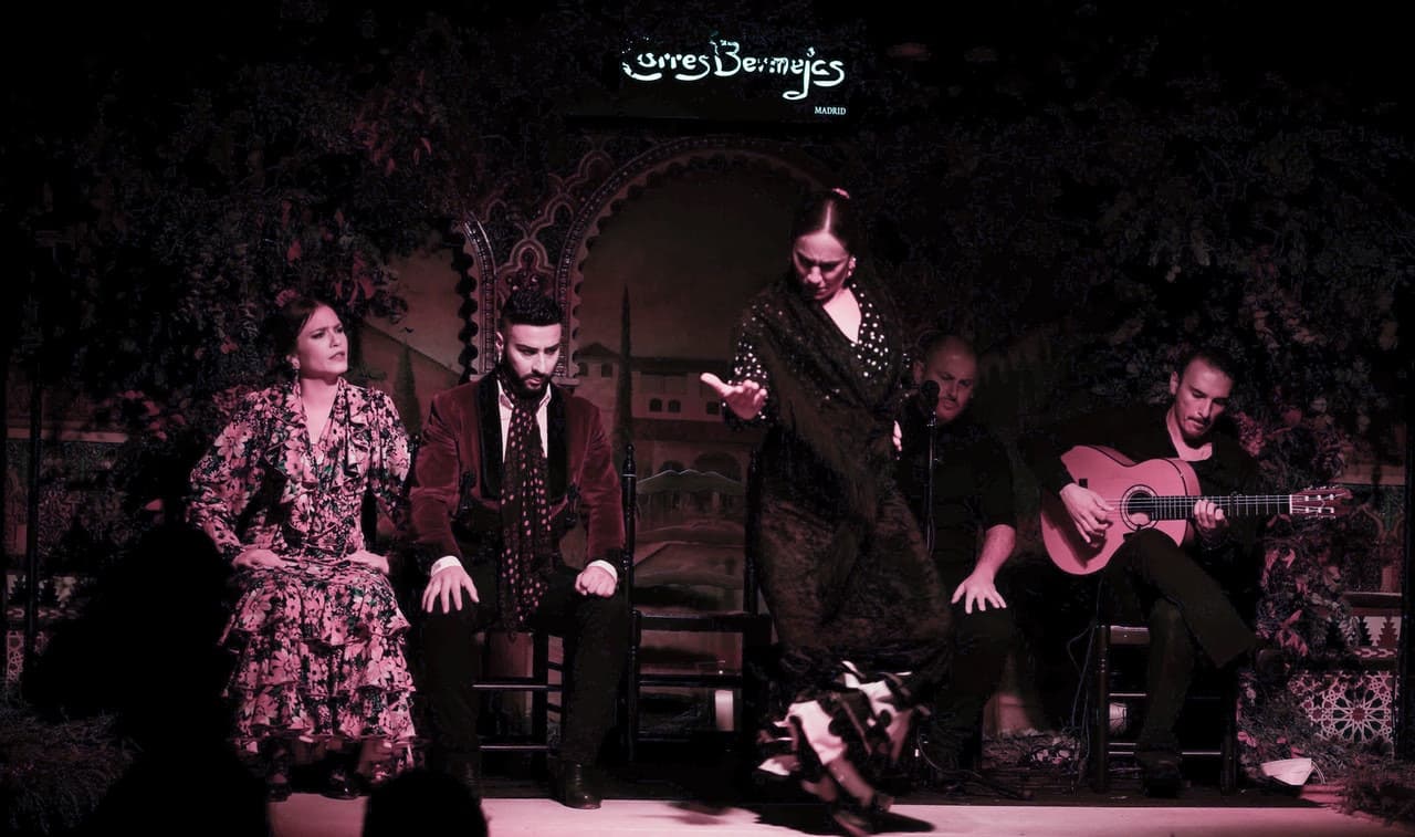 Flamenco Show at Tablao Torres Bermejas - სურათი 3