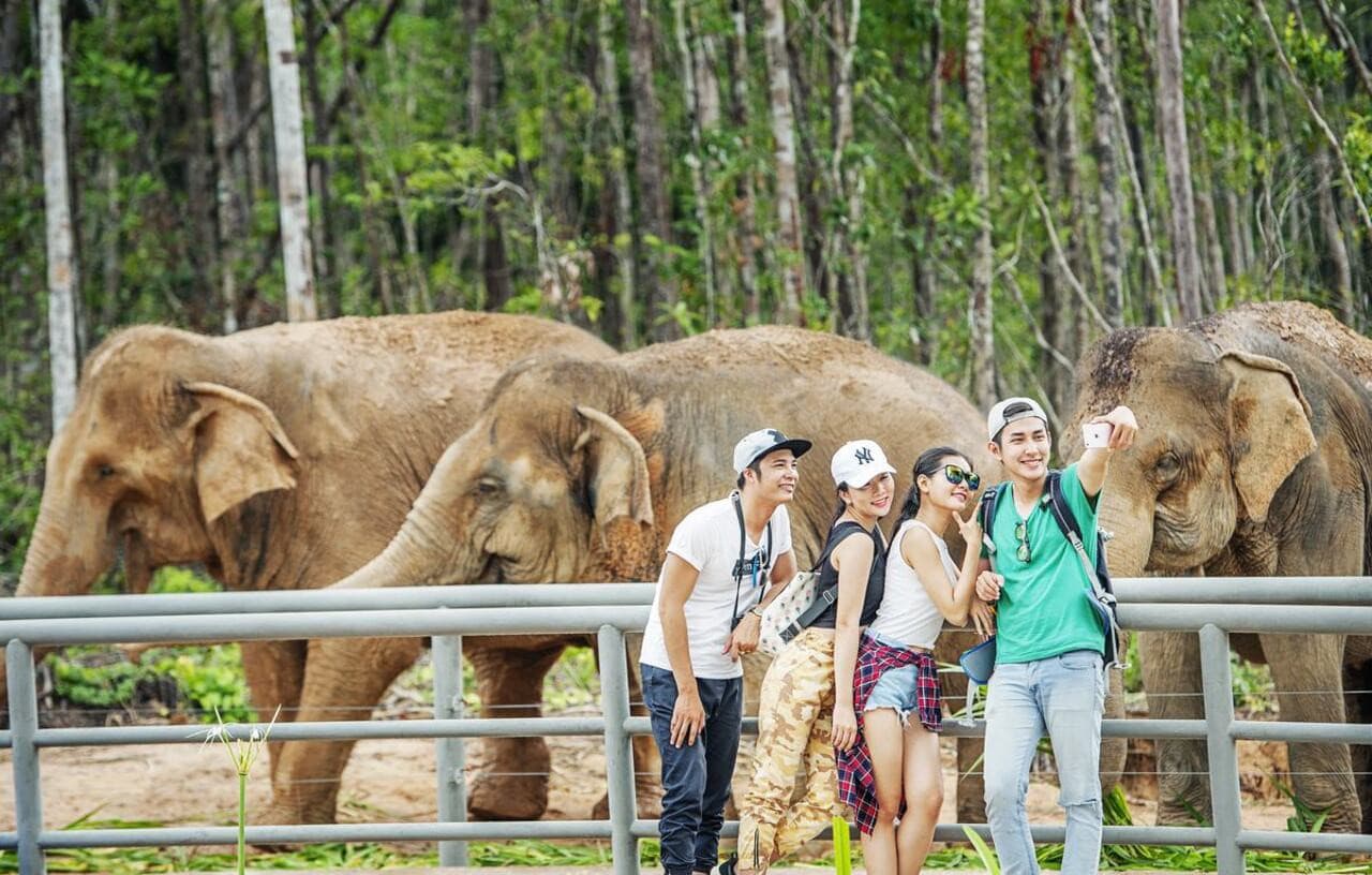 Vinpearl Safari Phu Quoc Ticket - სურათი 11