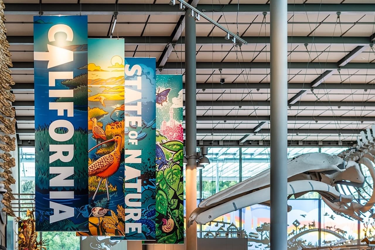 California Academy of Sciences Ticket - სურათი 7