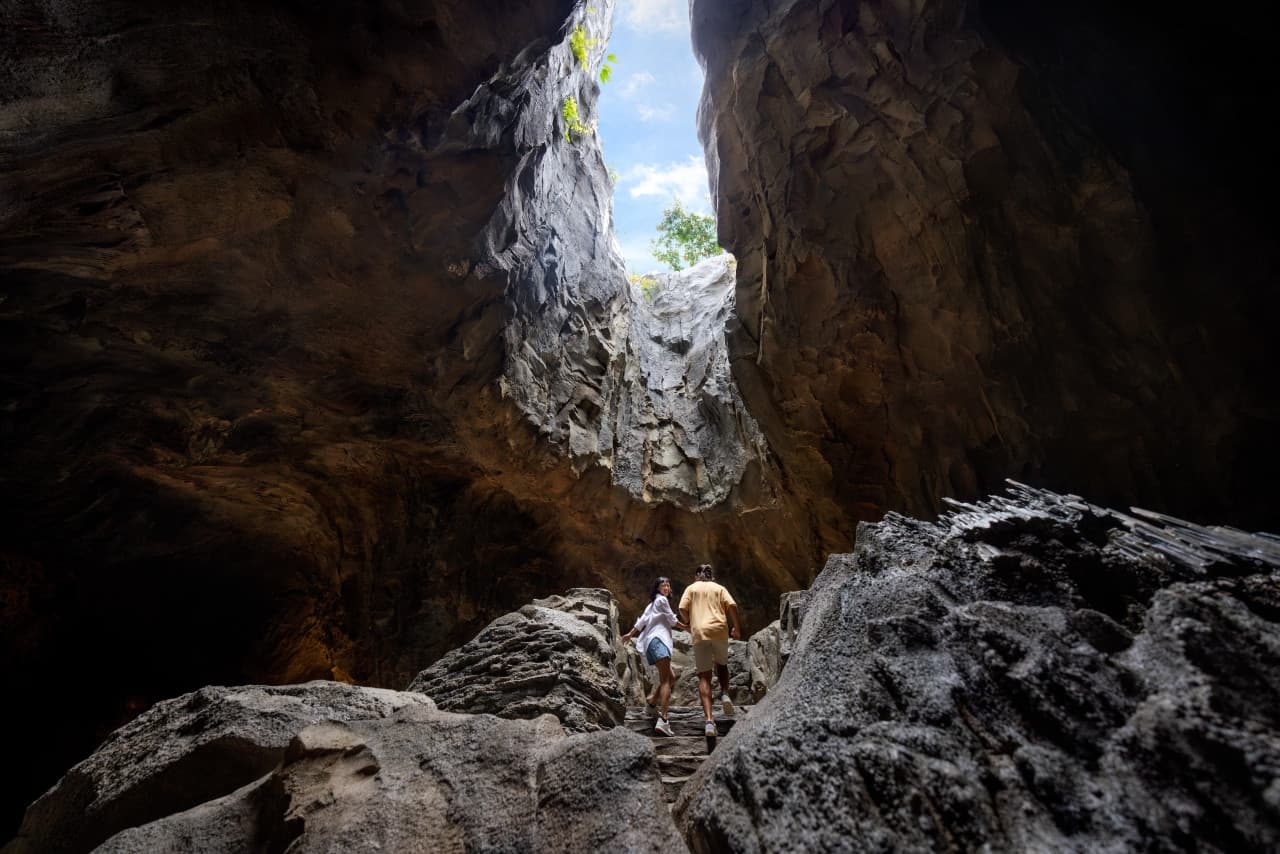 Mandai Destination Pass: Visit Up to 6 Attractions in 1 or 5 Days - სურათი 24