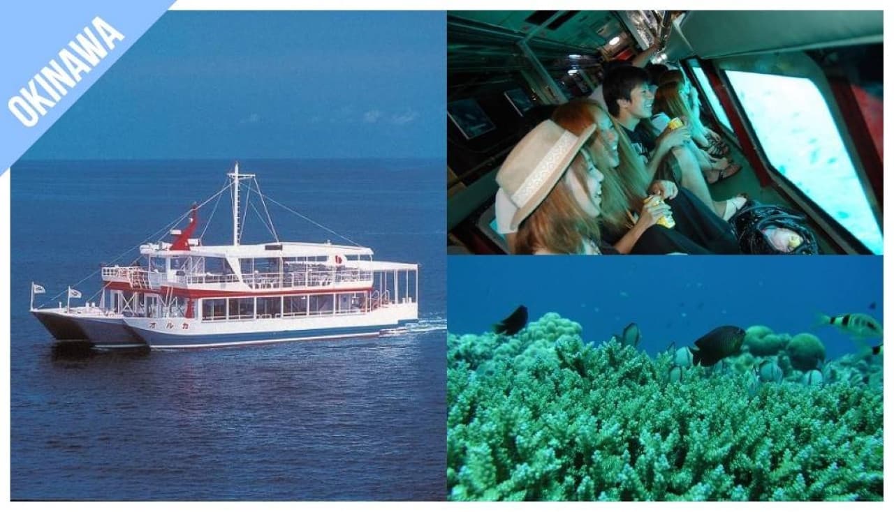 Have Fun in Okinawa Pass - 1 Week Free Pass - სურათი 12