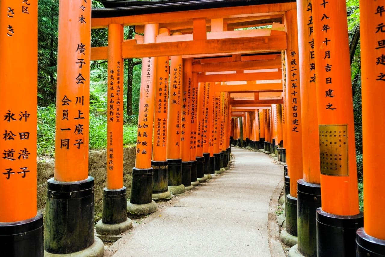 Kyoto Full-Day Tour: Nijo Castle, Kinkaku-ji,  Fushimi Inari Taisha, Kiyomizu-dera Temple - სურათი 10